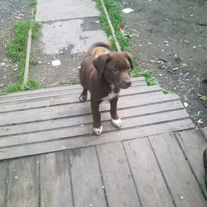 Meet your Posher, William